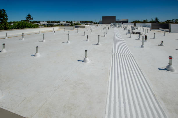 Best Roof Maintenance and Cleaning  in Village Of Waukesha, WI